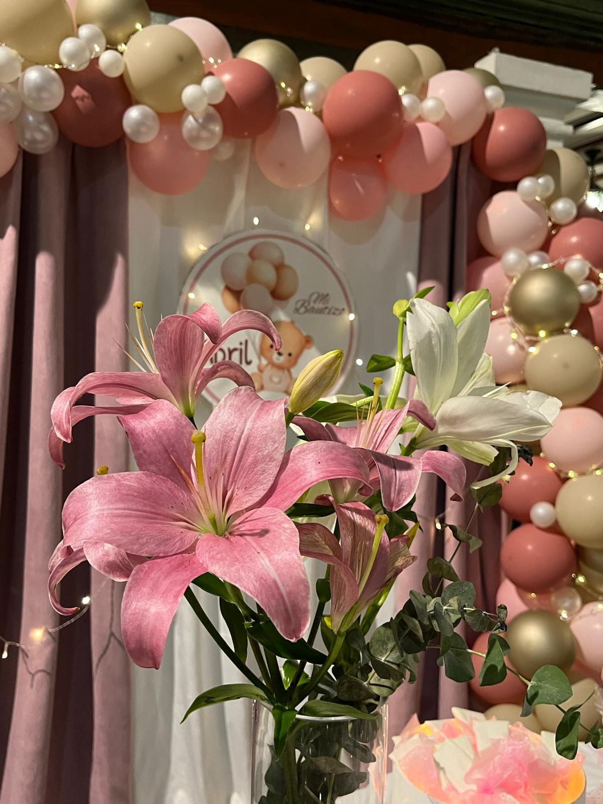 WhatsApp Image 2026-04-15 at 11.02