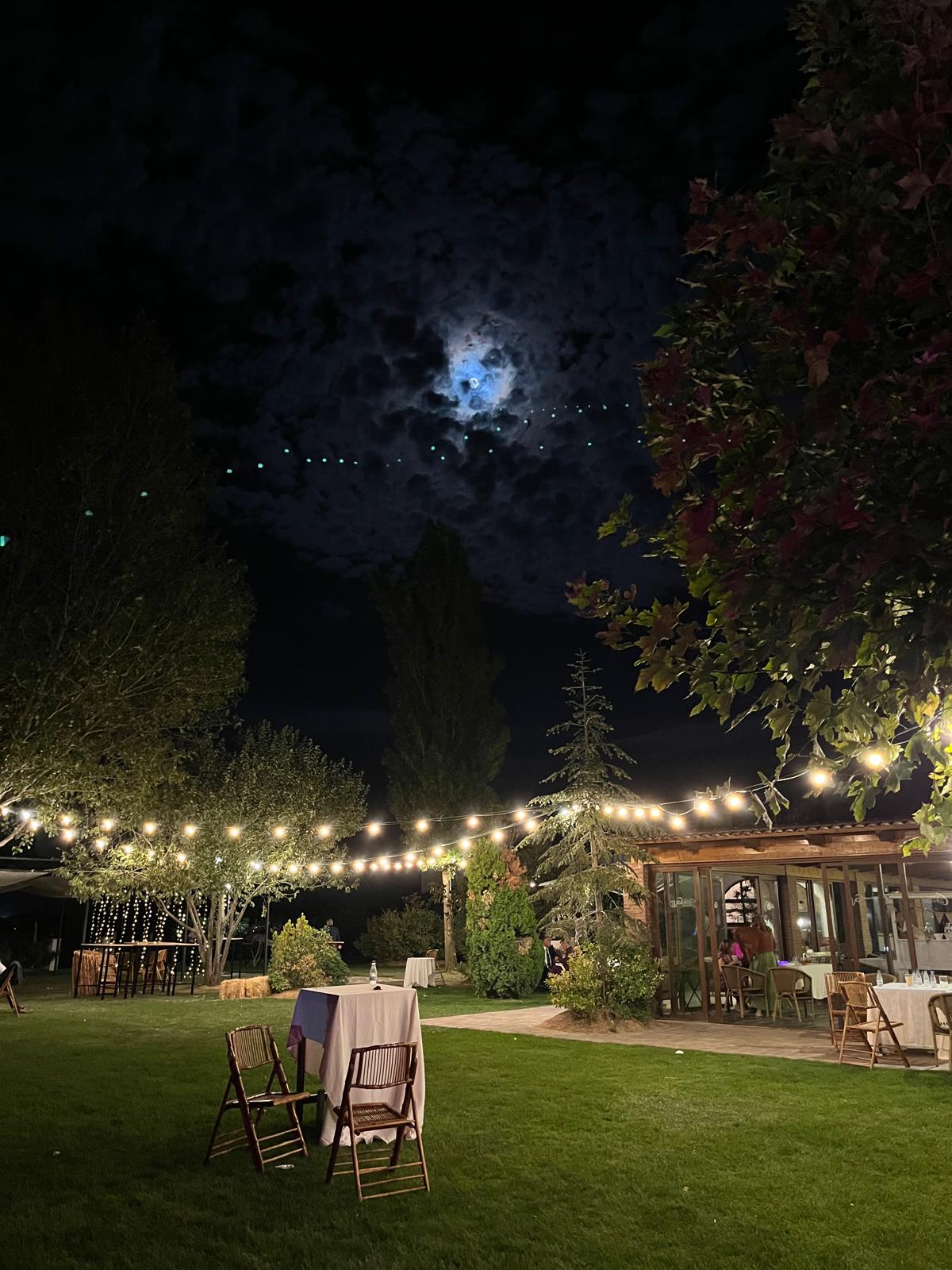 WhatsApp Image 2026-04-16 at 15.41.09