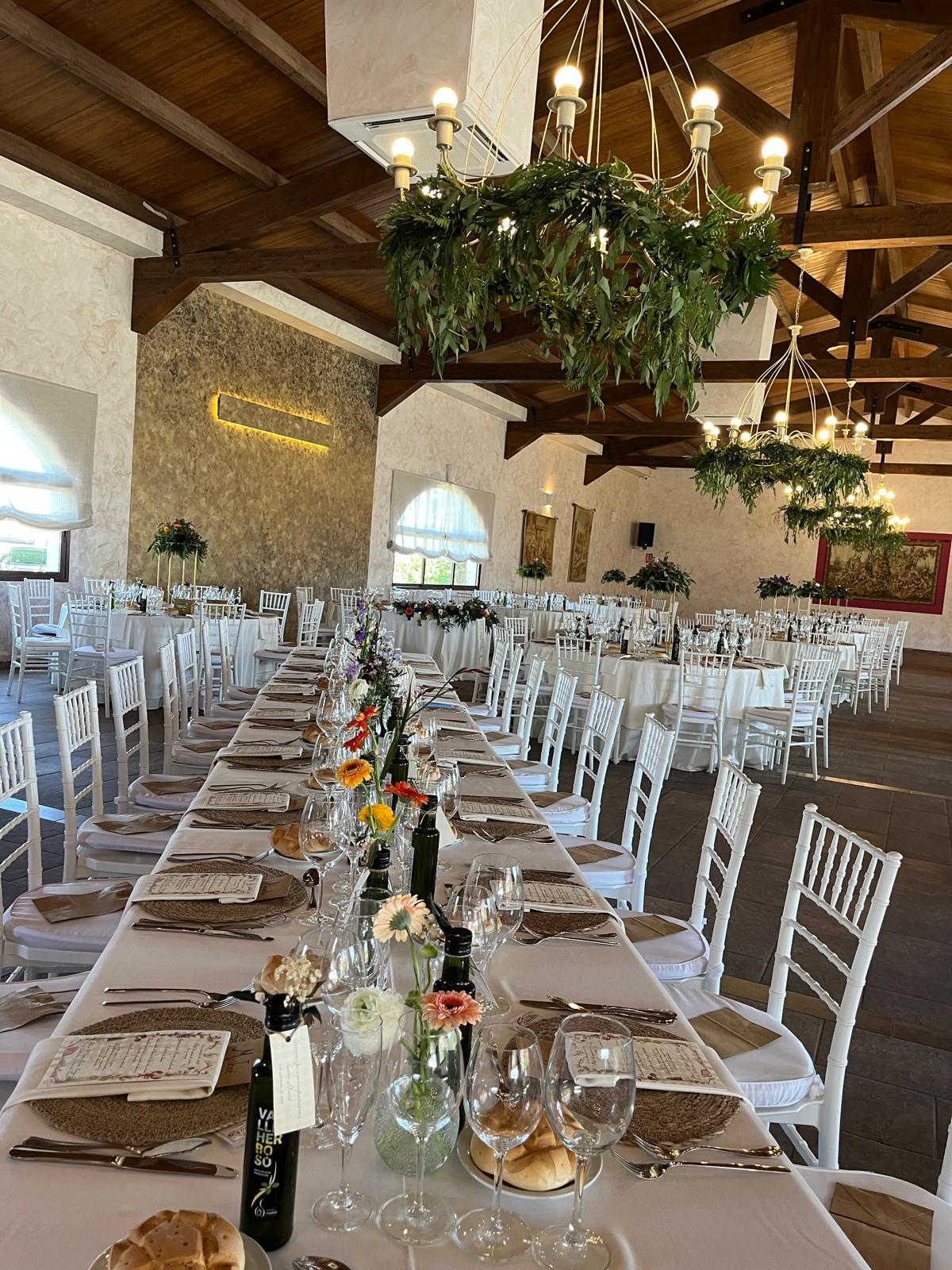 WhatsApp Image 2026-04-16 at 15.42.21